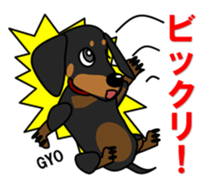 Wonderful Miniature Dachshund, RIKU sticker #11346252