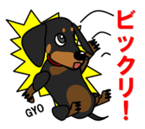 Wonderful Miniature Dachshund, RIKU sticker #11346252
