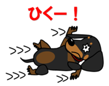 Wonderful Miniature Dachshund, RIKU sticker #11346253