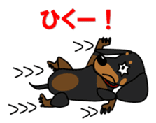 Wonderful Miniature Dachshund, RIKU sticker #11346253