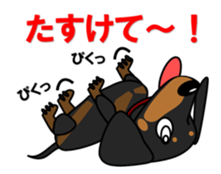 Wonderful Miniature Dachshund, RIKU sticker #11346254