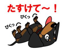 Wonderful Miniature Dachshund, RIKU sticker #11346254