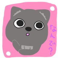 One of wolf you sticker #11347530