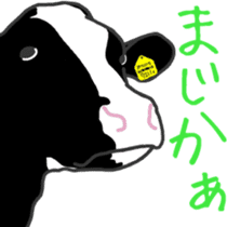 Dairy Diary sticker #11347676