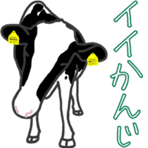 Dairy Diary sticker #11347686