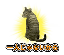 The cat which aims at the top. sticker #11350897