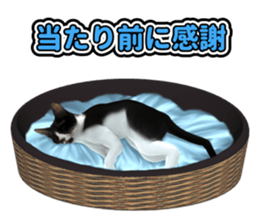 The cat which aims at the top. sticker #11350899