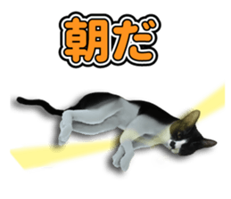 The cat which aims at the top. sticker #11350908