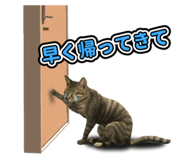 The cat which aims at the top. sticker #11350912