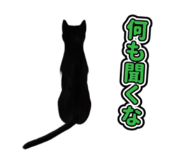 The cat which aims at the top. sticker #11350913