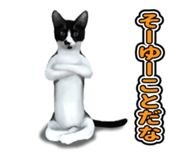 The cat which aims at the top. sticker #11350931