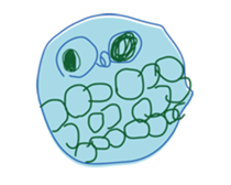 5-year-old girl illustrations sticker #11352054