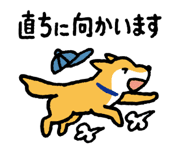 Shiba-Inu-San-no-Tsubo vol.3 sticker #11352297