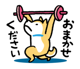 Shiba-Inu-San-no-Tsubo vol.3 sticker #11352303