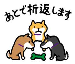 Shiba-Inu-San-no-Tsubo vol.3 sticker #11352307