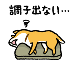 Shiba-Inu-San-no-Tsubo vol.3 sticker #11352320