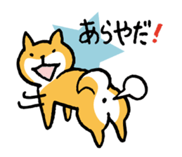 Shiba-Inu-San-no-Tsubo vol.3 sticker #11352331