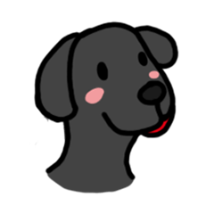 Black Labrador Retriever Daily life