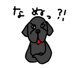 Black Labrador Retriever Daily life sticker #11352628