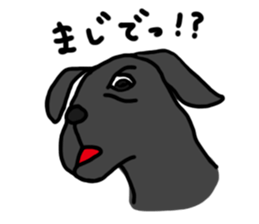 Black Labrador Retriever Daily life sticker #11352629