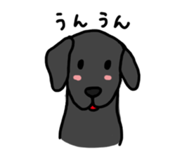 Black Labrador Retriever Daily life sticker #11352630