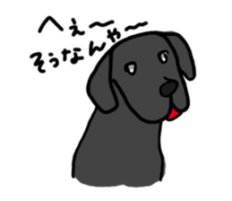 Black Labrador Retriever Daily life sticker #11352631
