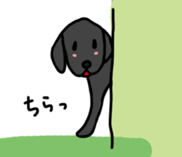 Black Labrador Retriever Daily life sticker #11352635