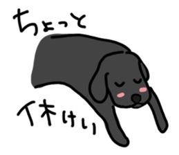 Black Labrador Retriever Daily life sticker #11352638