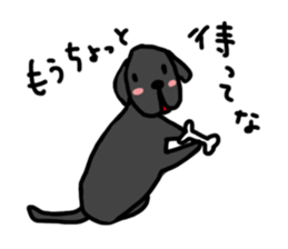 Black Labrador Retriever Daily life sticker #11352653