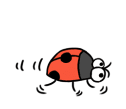 Ladybugs sticker #11354457