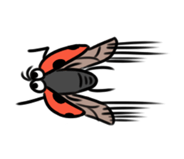 Ladybugs sticker #11354478
