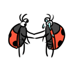 Ladybugs sticker #11354480