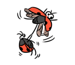 Ladybugs sticker #11354481