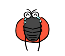 Ladybugs sticker #11354494