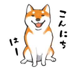 a dog called Japanese Shiba Inu sticker #11356136