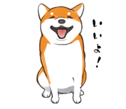 a dog called Japanese Shiba Inu sticker #11356141