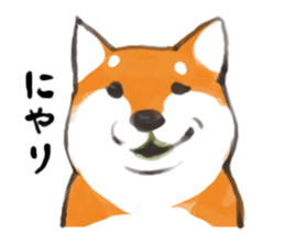 a dog called Japanese Shiba Inu sticker #11356145