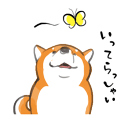 a dog called Japanese Shiba Inu sticker #11356153