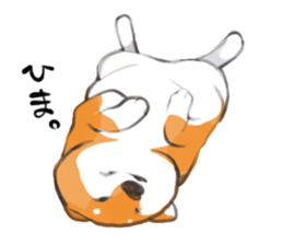 a dog called Japanese Shiba Inu sticker #11356156
