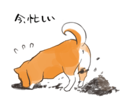 a dog called Japanese Shiba Inu sticker #11356163