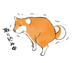 a dog called Japanese Shiba Inu sticker #11356164