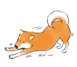 a dog called Japanese Shiba Inu sticker #11356169