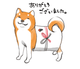 a dog called Japanese Shiba Inu sticker #11356171