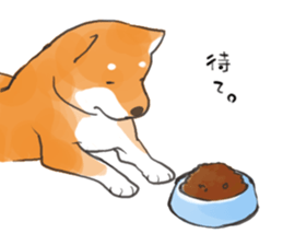 a dog called Japanese Shiba Inu sticker #11356174