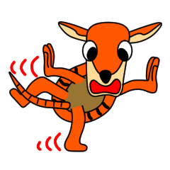 JIN-JIN Armadillo Life (3rd)