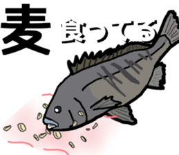 Acanthopagrus fishing Sticker sticker #11357019