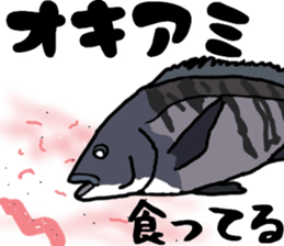 Acanthopagrus fishing Sticker sticker #11357020