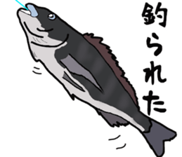 Acanthopagrus fishing Sticker sticker #11357024