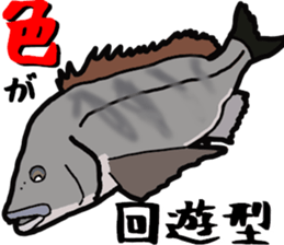 Acanthopagrus fishing Sticker sticker #11357026