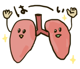 Human body daily sticker #11357628